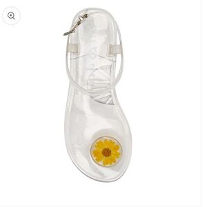 KATY PERRY THE GELI® Color: Clear Daisy